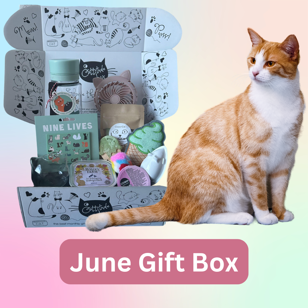 June One Off Gift Box