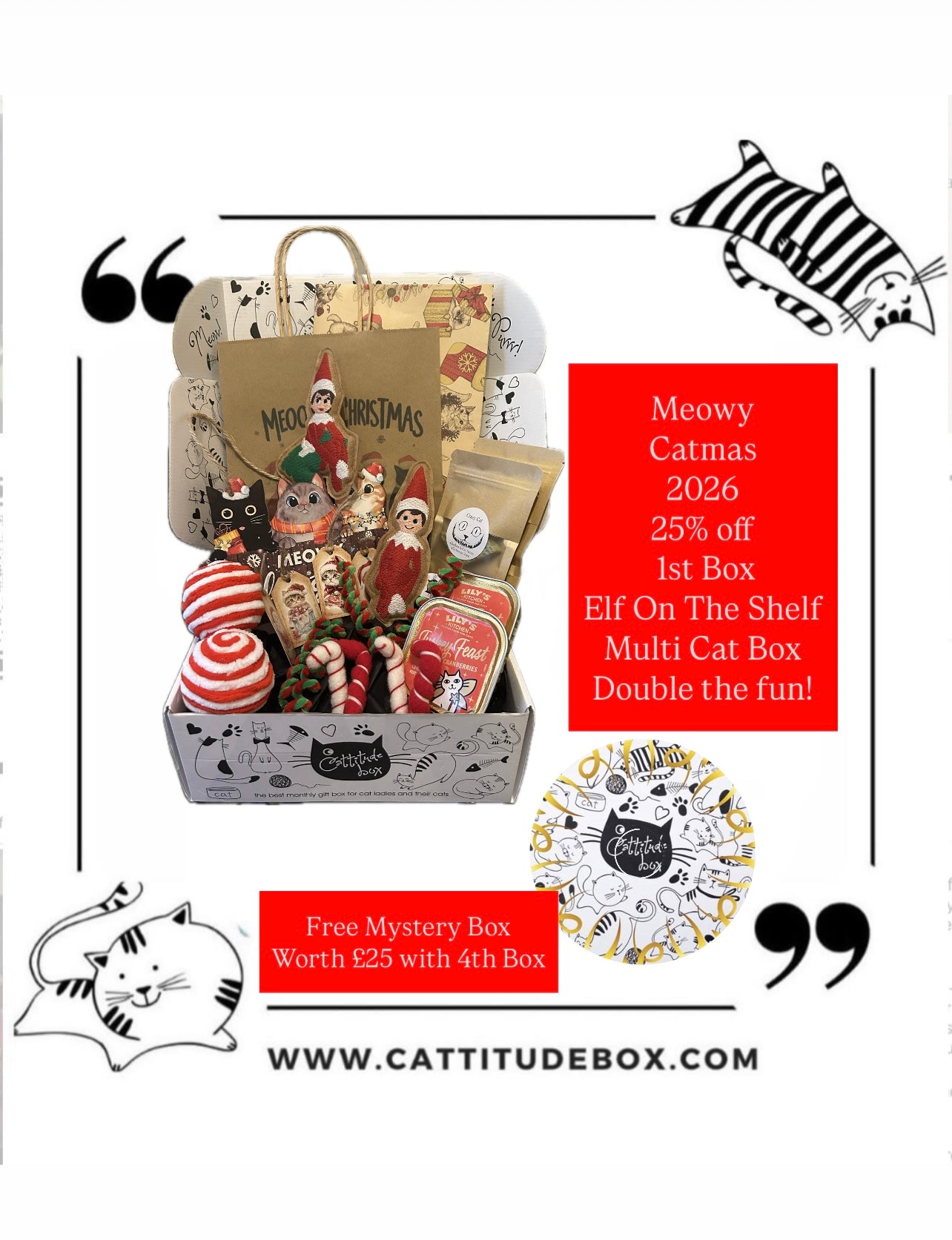 Cattitude Box Multi Cat