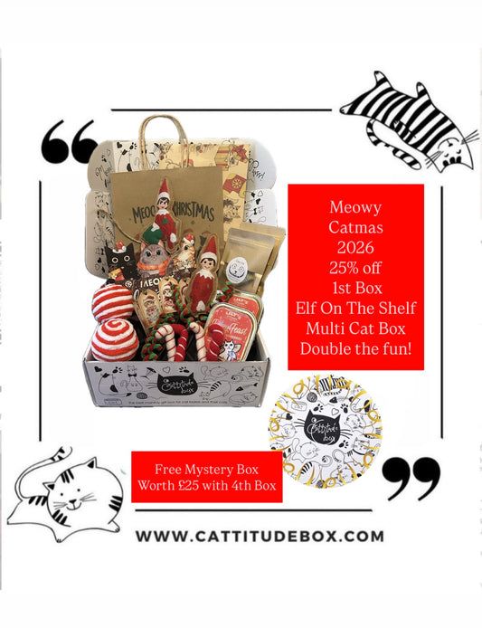 Cattitude Box Multi Cat