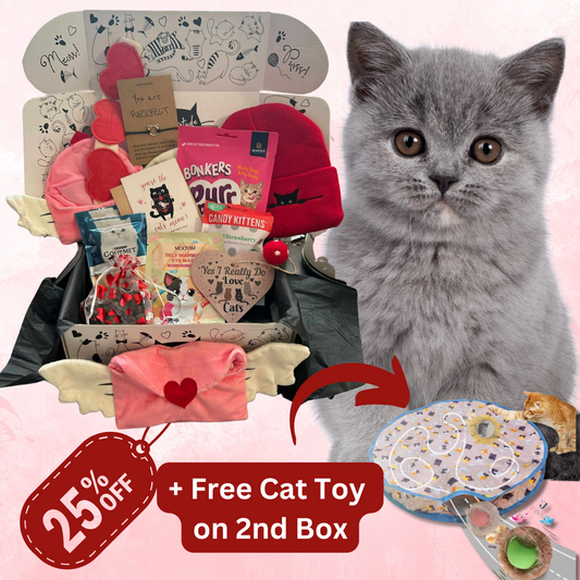 Cattitude Box Bi Monthly