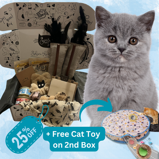 Cattitude Box Multi Cat Bi Monthly