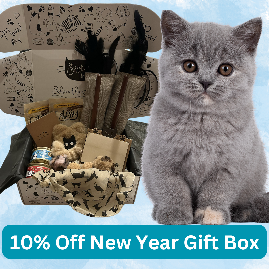 New Year Special One Off Gift Box - Multi Cat