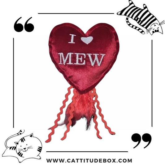 Valentines I Love Mew Velvet Heart