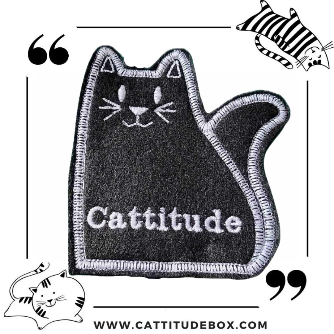 Cattitude Refillable Cat Toy Black