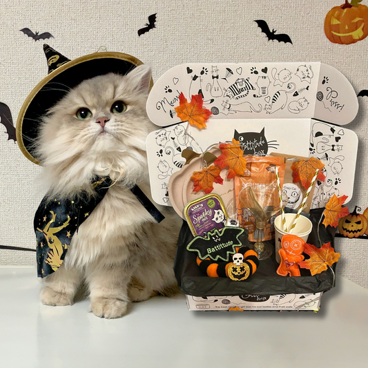 Halloween One Off Gift Box