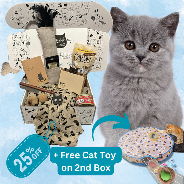 Cat subscription box discount