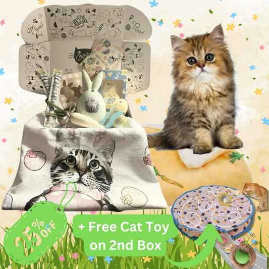 Cattitude Box
