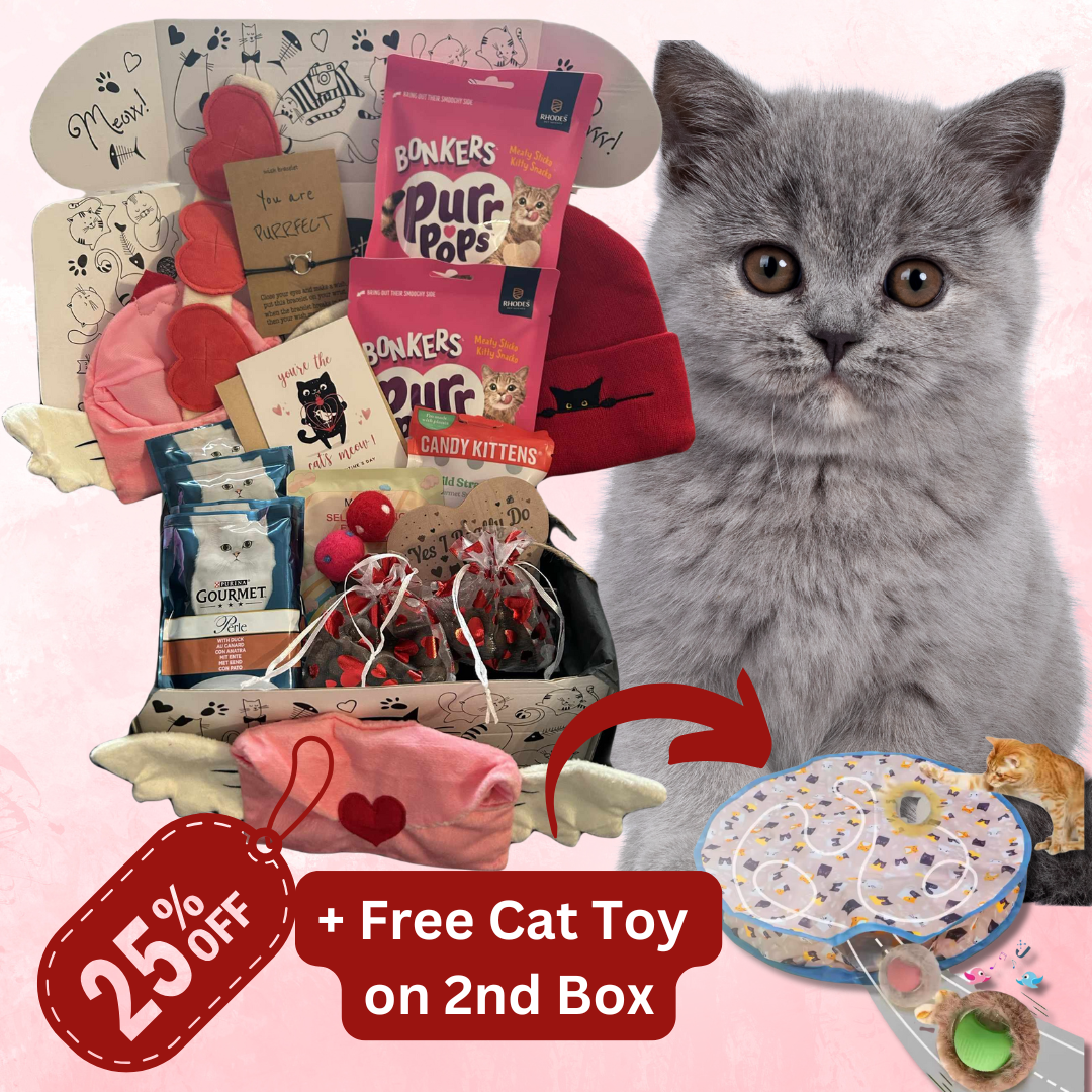 Cattitude Box Multi Cat Bi Monthly **MOST POPULAR **