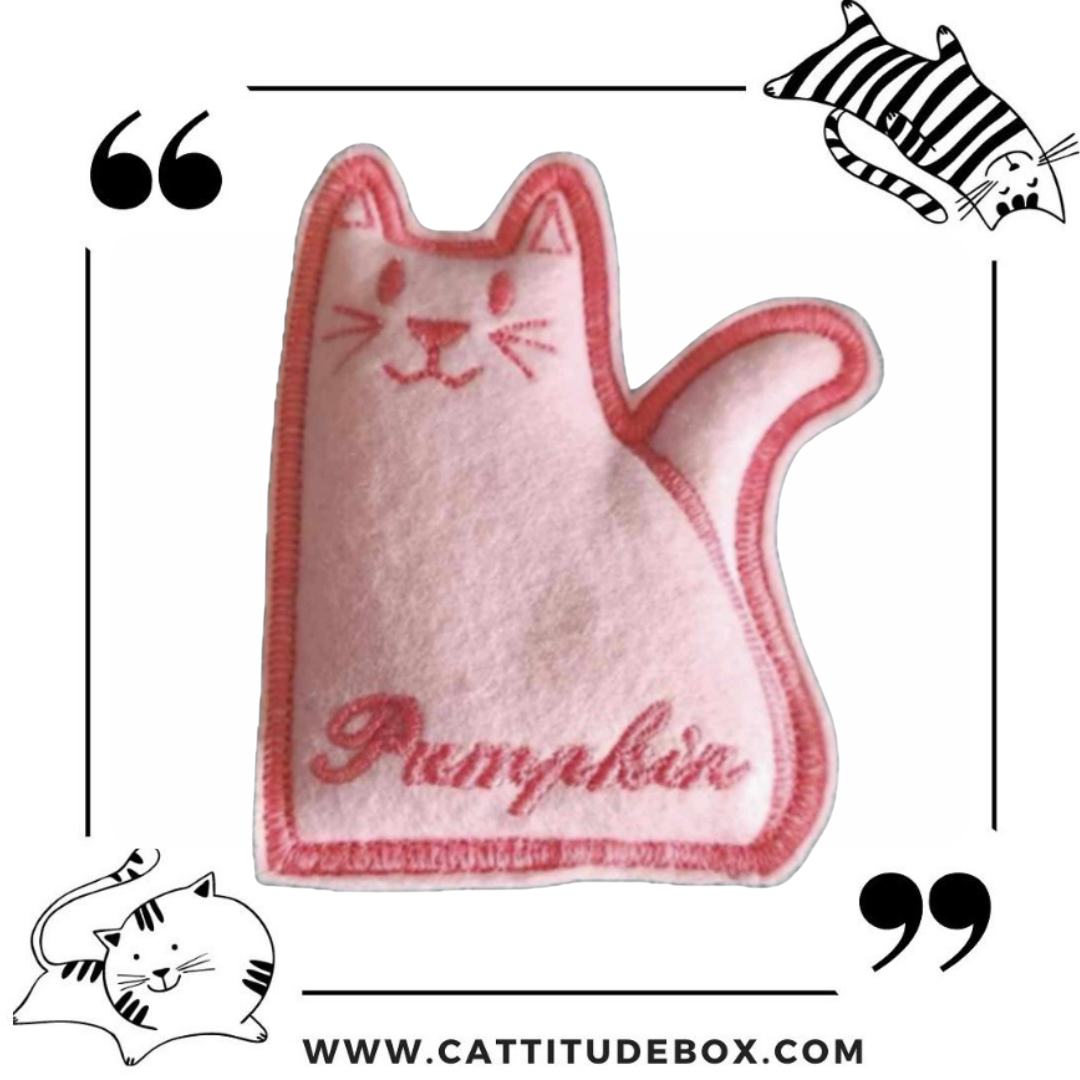 Personalised Refillable Cat Toy Pink