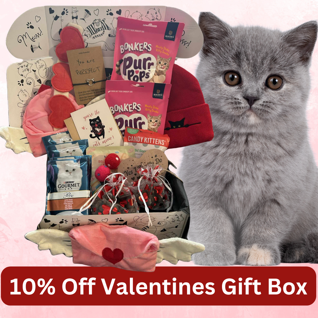 Valentines Special One Off Gift Box - Multi Cat