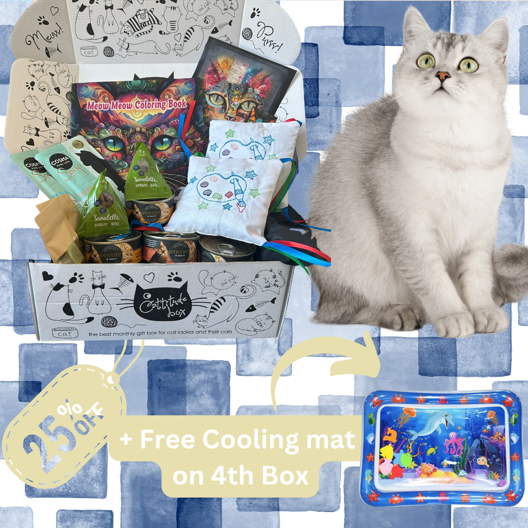 Cattitude Box Multi Cat
